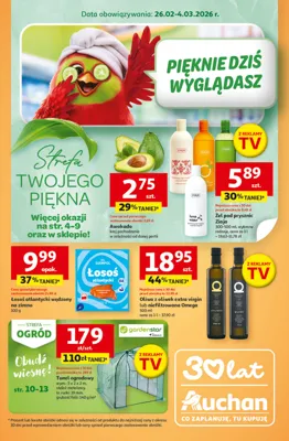 Gazetka Auchan