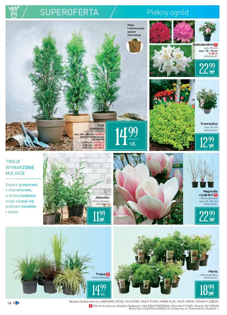 Gazetka promocyjna Carrefour str. 14