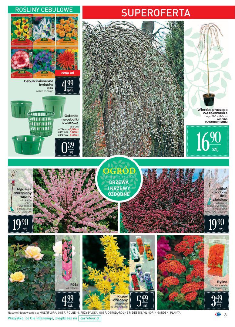 Gazetka promocyjna Carrefour str. 3