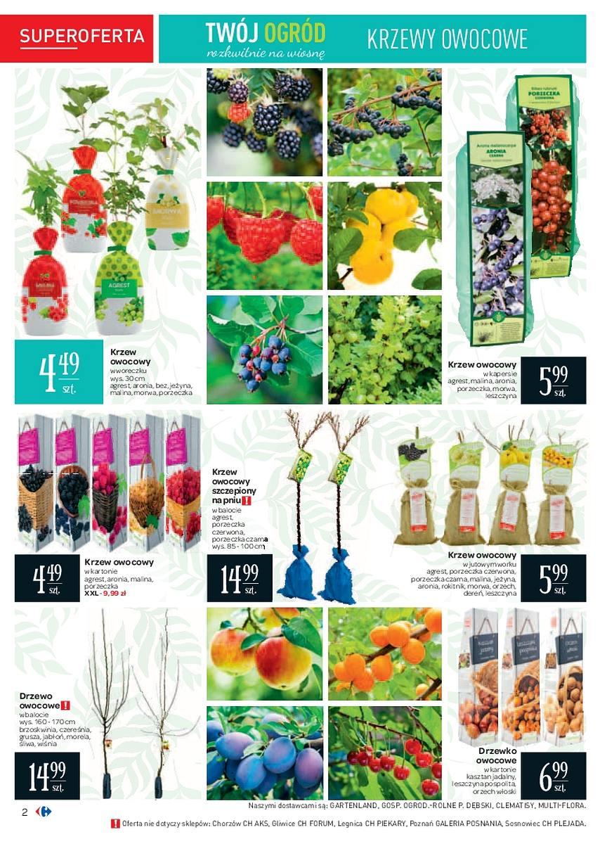 Gazetka promocyjna Carrefour str. 2