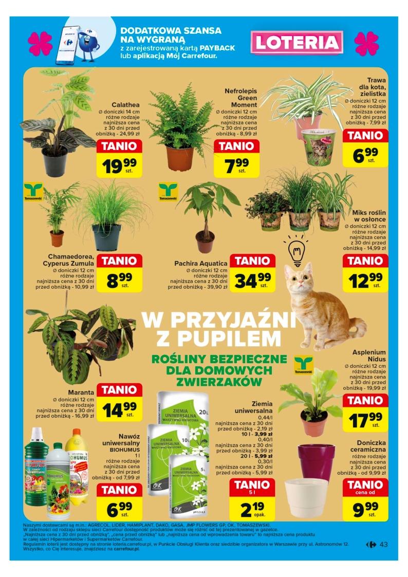 Gazetka promocyjna Carrefour str. 43