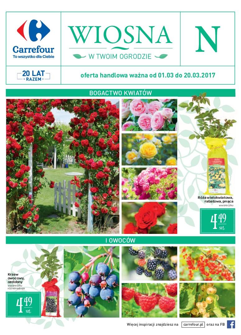 Gazetka promocyjna Carrefour str. 1