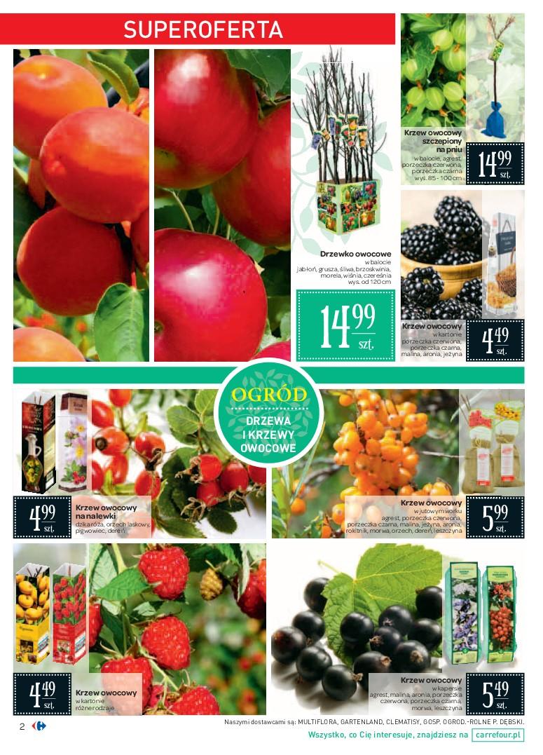 Gazetka promocyjna Carrefour str. 2
