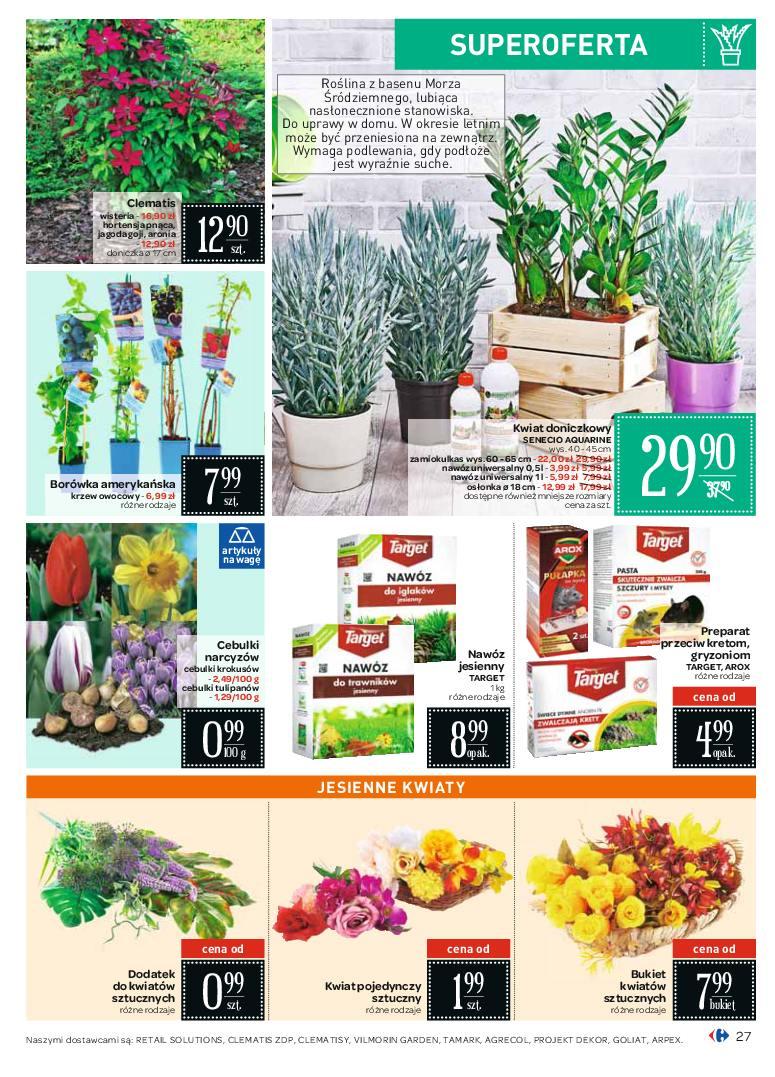 Gazetka promocyjna Carrefour str. 27