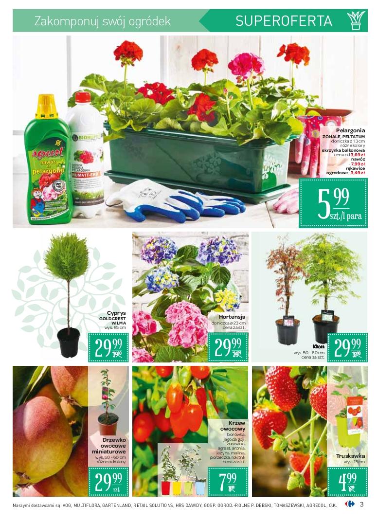 Gazetka promocyjna Carrefour str. 3