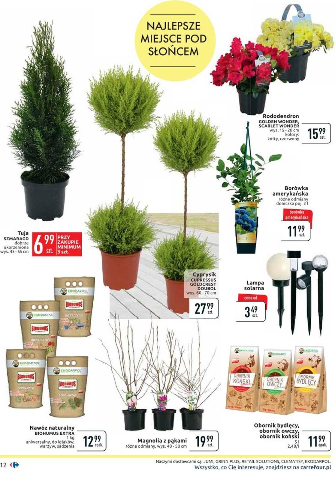 Gazetka promocyjna Carrefour str. 12