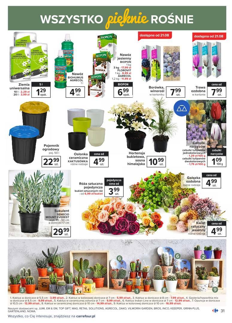 Gazetka promocyjna Carrefour str. 31