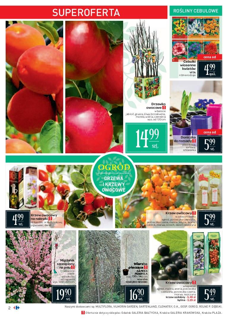 Gazetka promocyjna Carrefour str. 2