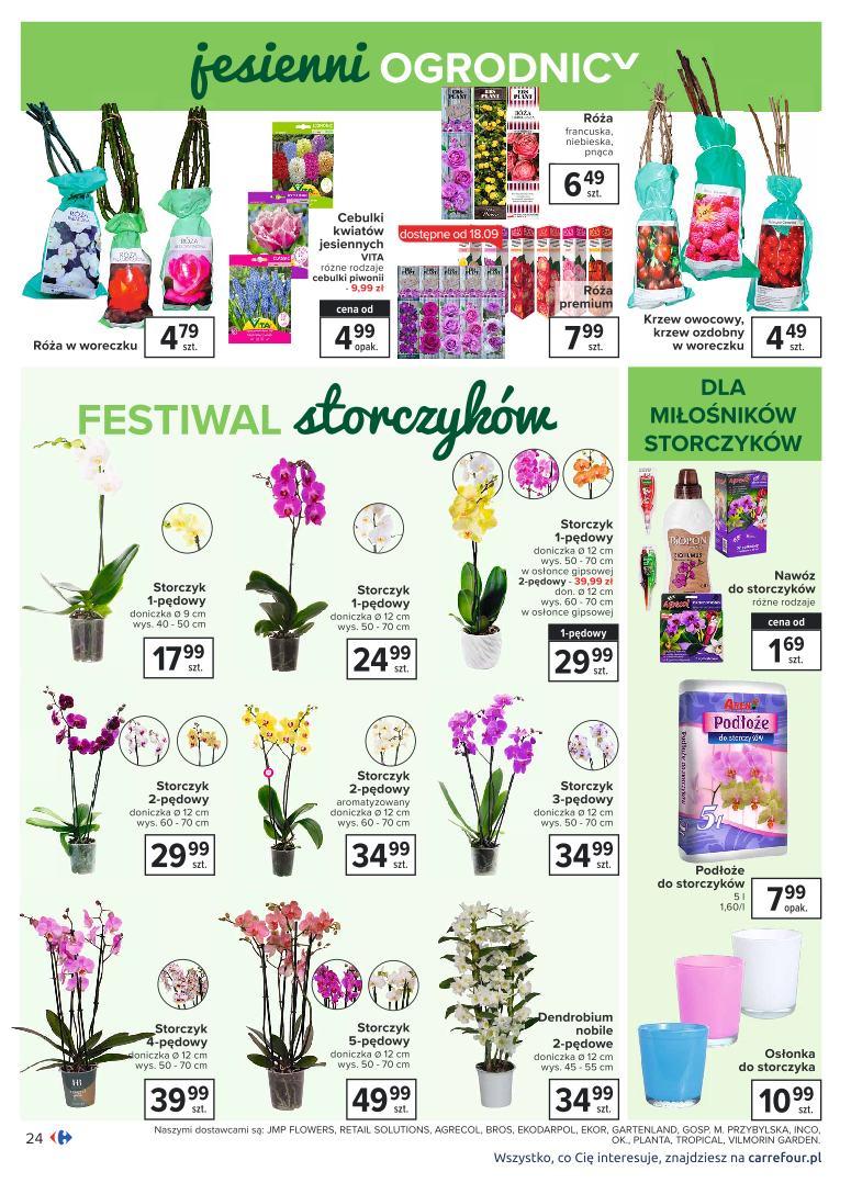 Gazetka promocyjna Carrefour str. 24