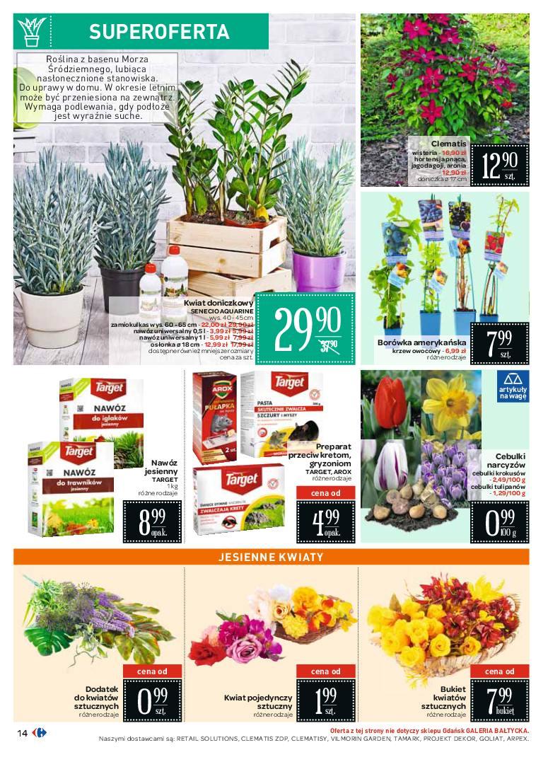 Gazetka promocyjna Carrefour str. 14