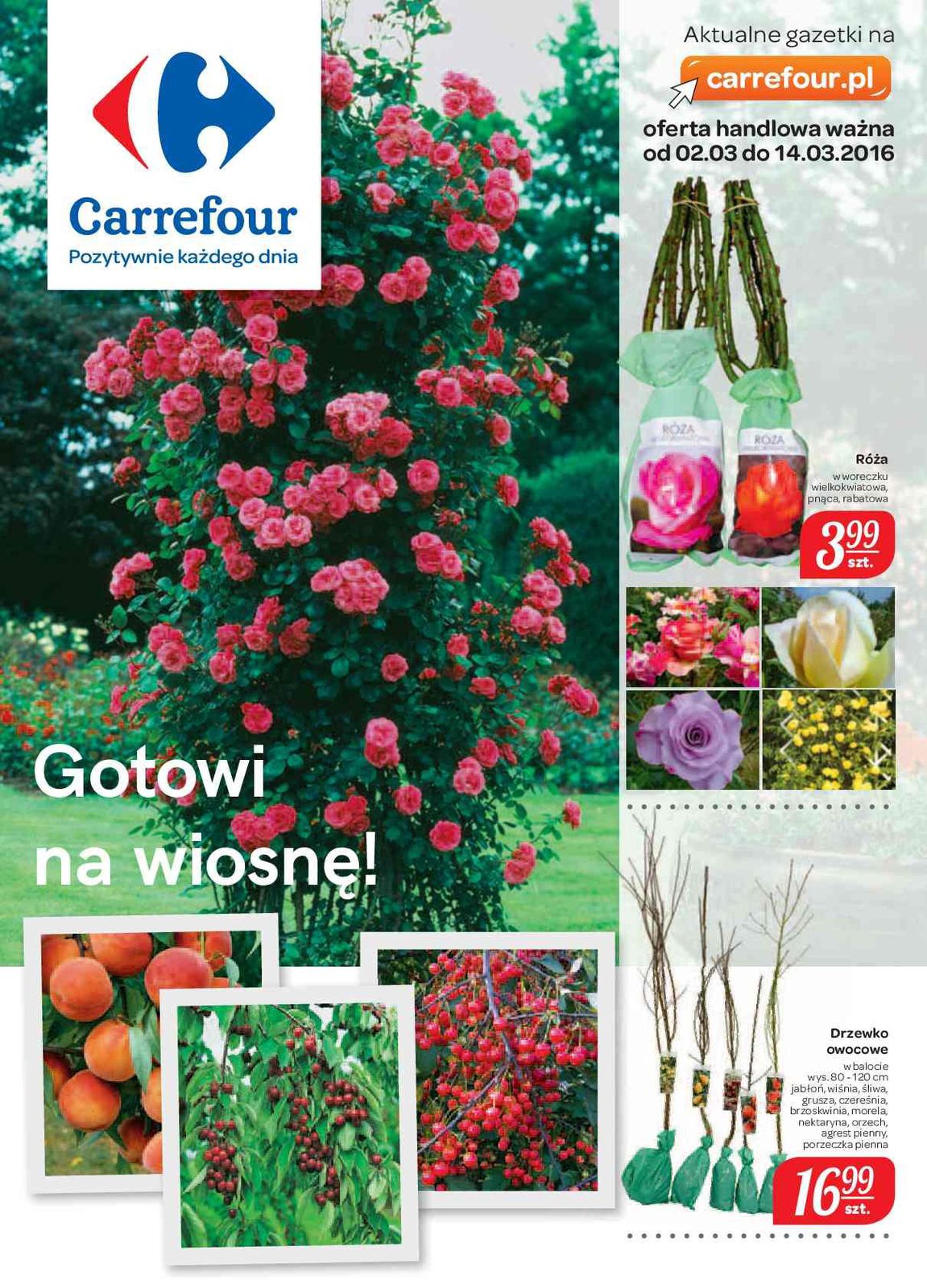 Gazetka promocyjna Carrefour str. 1