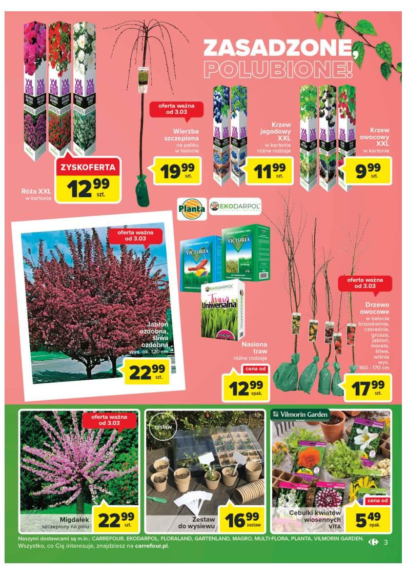 Gazetka promocyjna Carrefour str. 3