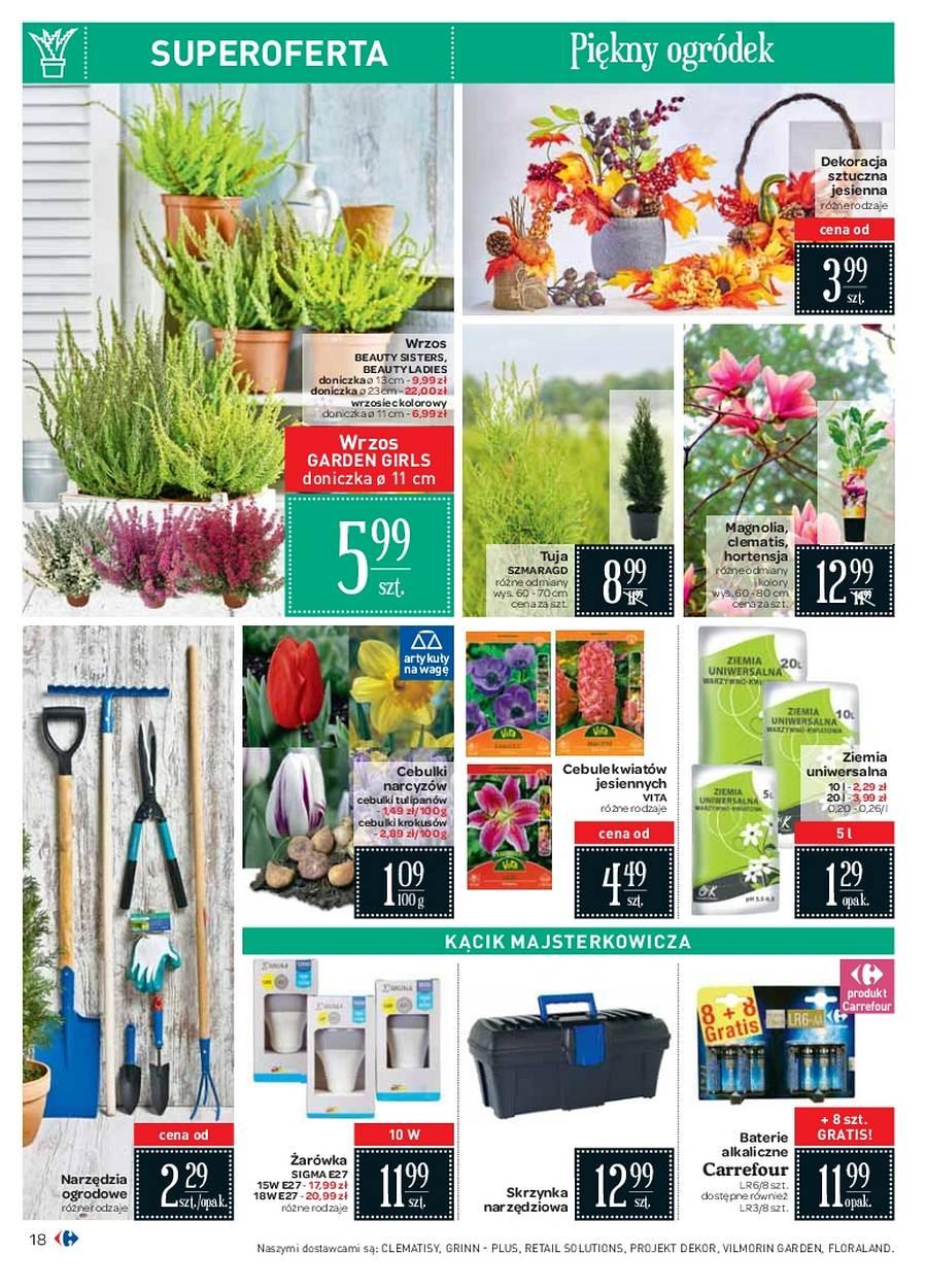 Gazetka promocyjna Carrefour str. 18